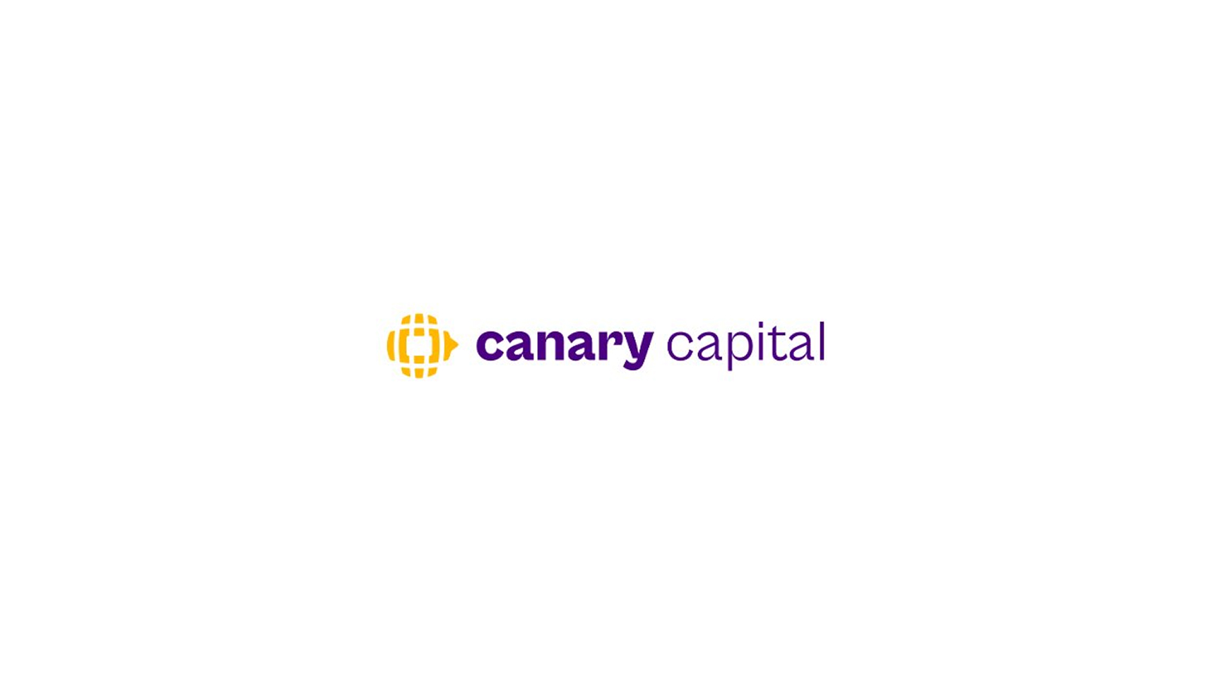Canary XRP ETF, 8,240만 달러의 순 지분 거래에도 8,160만 달러 손실