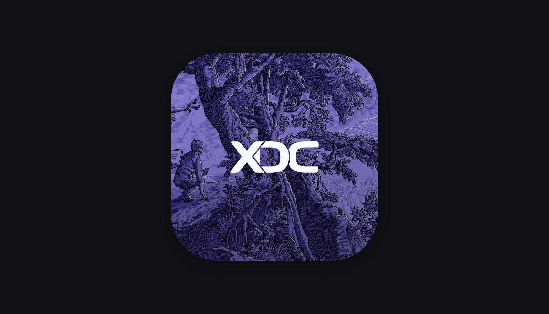 XDC, 스테이블코인 공급 3,100억 달러 근접 속 Stripe 소유 Bridge 통합